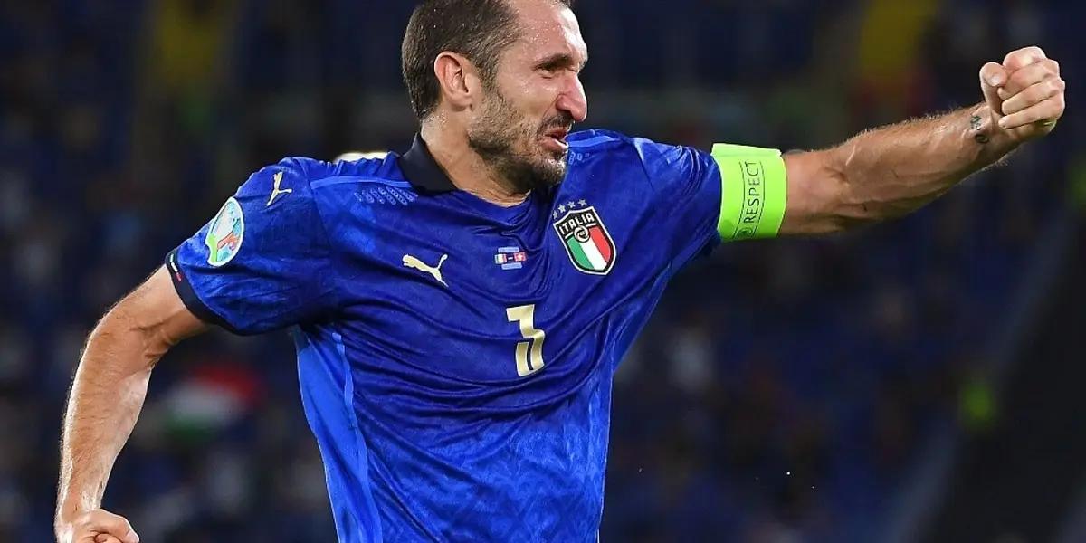 Carolina Bonistalli was born on February 17, 1983.