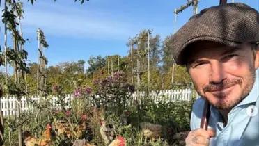 David Beckham. Photo: David Beckham networks.