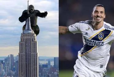 Kink Kong, the most famous gorilla on television and in Hollywood was challenged by Zlatan Ibrahimovic but the Swede knows who would win