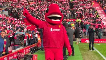 Mighty Red | Photo: @MightyRed_LFC