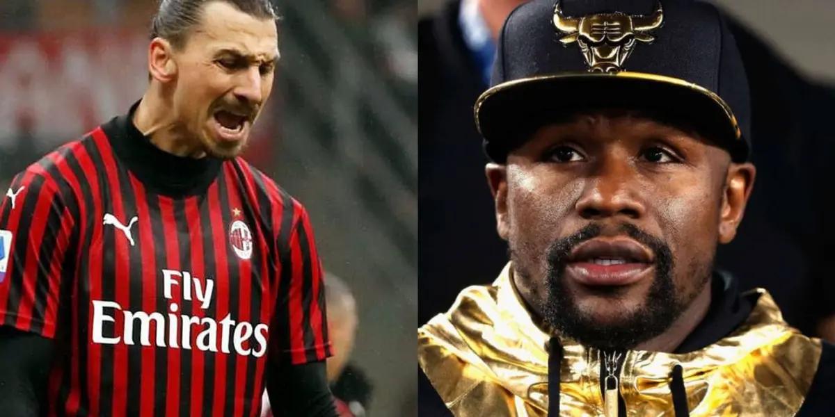 They love to show off and to fight, but when it comes to money, one hits harder than the other.