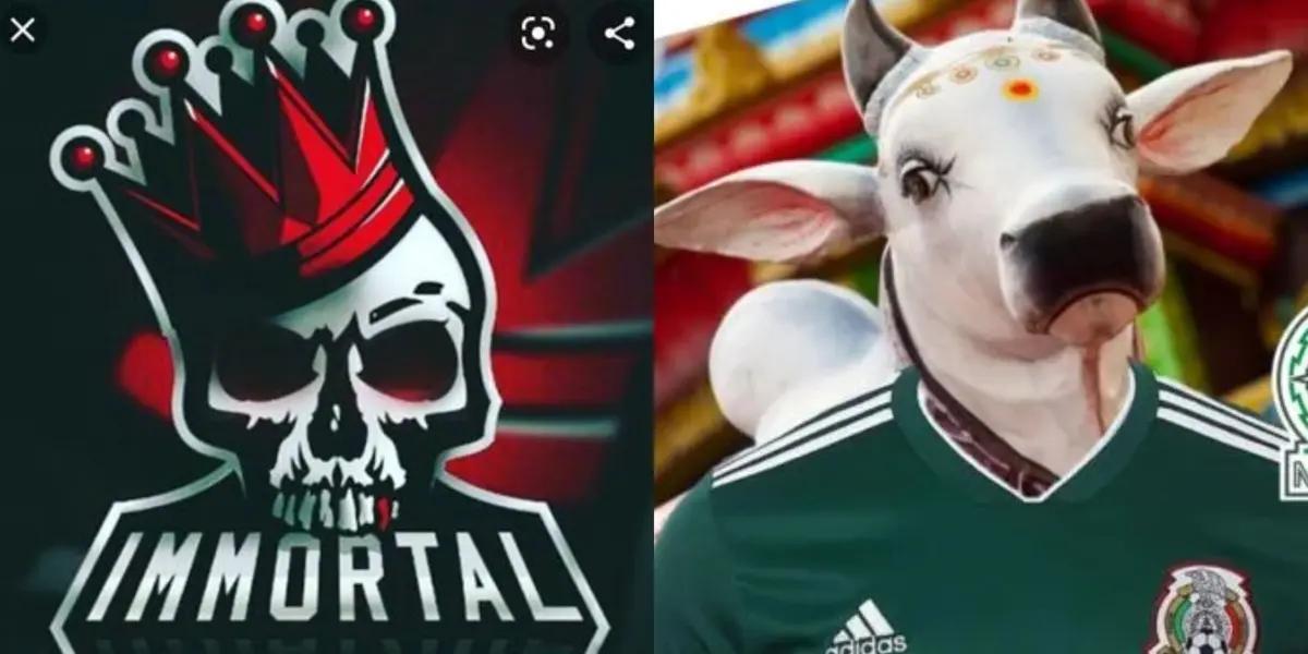 They would never take him out and now Yon de Luisa would offer him a place in El Tri, the grid would continue in the national team