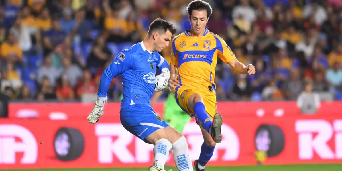 Tigres match | Photo: @LigaBBVAMX